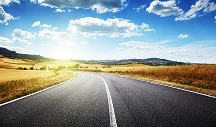 Calculate trip gas cost