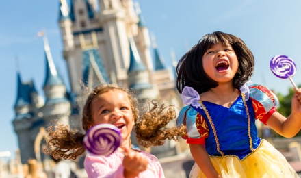 Walt Disney World Image