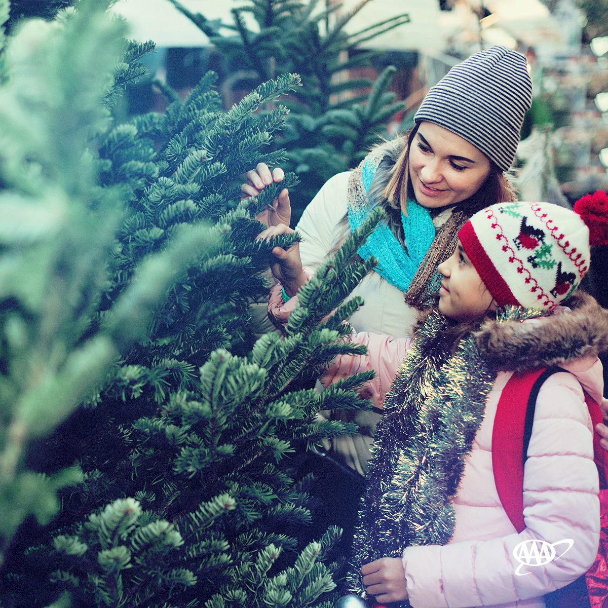 Buying a Christmas Tree