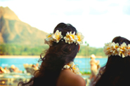 Hawaii Travel Consultants